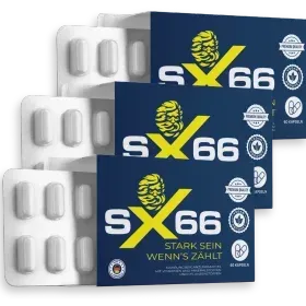 SX66 3 Packungen